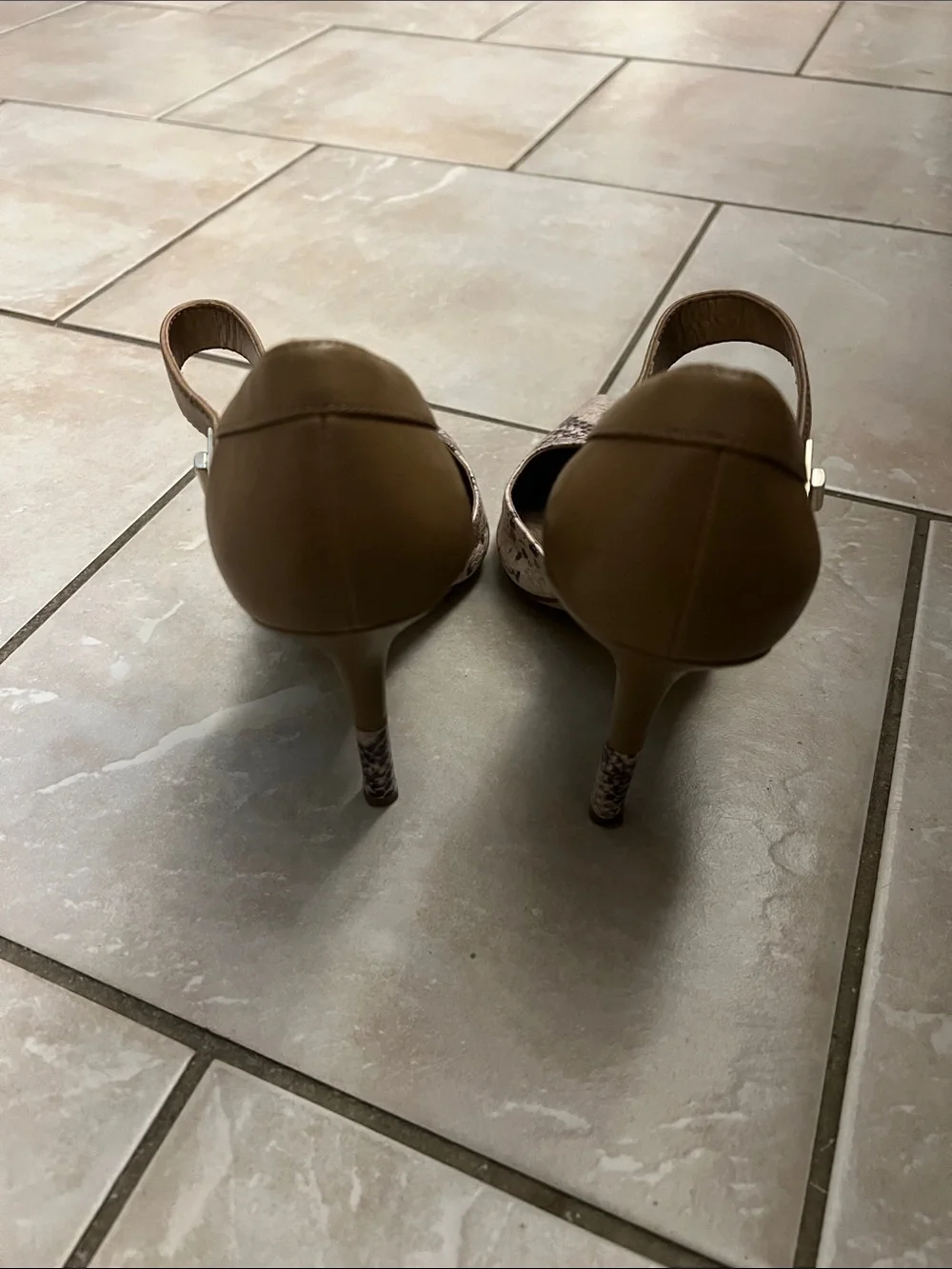 BCBGeneration Brown & Tan Snake-Print Pointed Ankle-Strap Heels